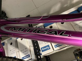 Bicicleta Morada Adolescente
