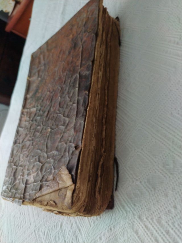 Al Rey nuestro señor Luis