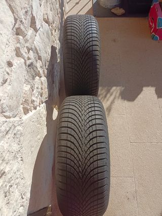 Neumáticos Dunlop 215/55R17 98W All Season