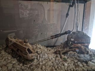 Pecera 200L con depuradora