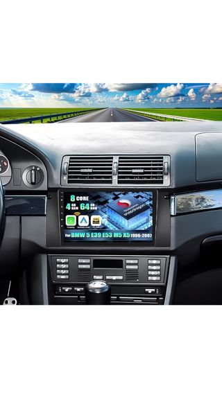 Pantalla BMW E39 E53 M5 X5 1996-2007