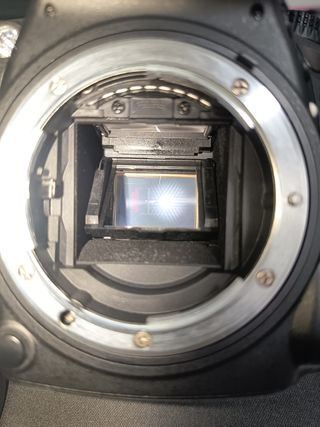 Nikon D7200 + Sigma 17-50mm + Flash