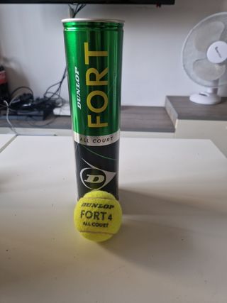 Dunlop Fort All Court Pelotas Tenis