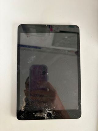 iPad mini Space Gray