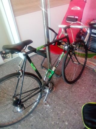 Bicicleta BH Vision Vintage
