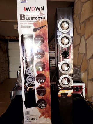 Torre de Sonido Bluetooth Karaoke IWOWN