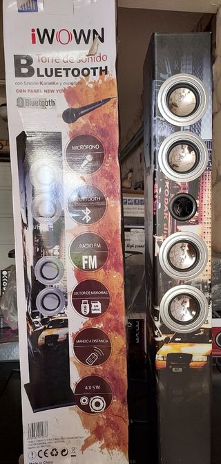 Torre de Sonido Bluetooth Karaoke IWOWN
