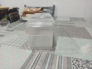 Paridera para peces de plástico