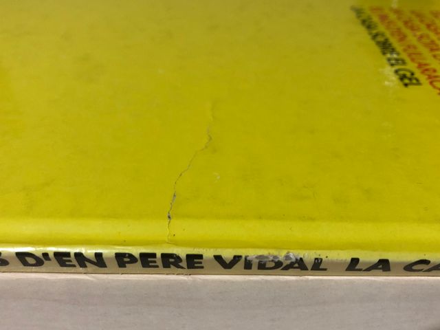 La Casa sota el Mar - Les Aventures den Pere Vidal