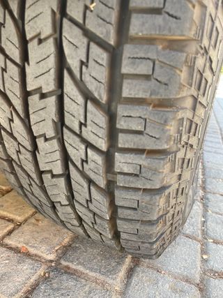 Nissan Navara Pick-up 2001