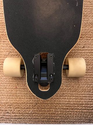 Longboard con diseño tropical