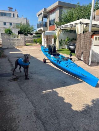 Kayak Revolution 16 HOBIE