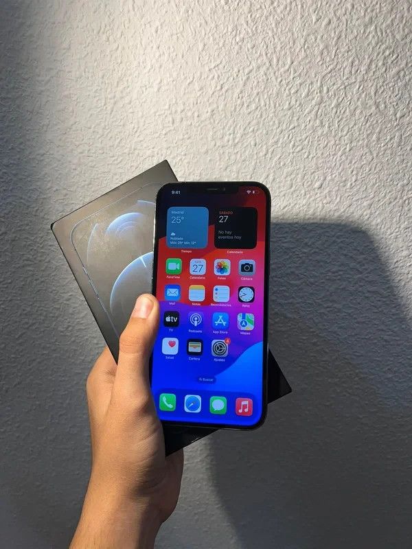 iPhone 12 Pro Max grigio