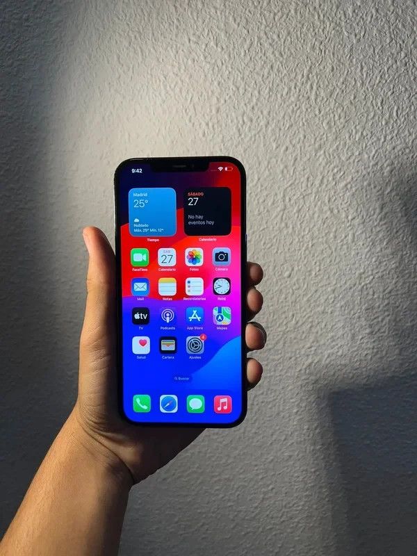 iPhone 12 Pro Max grigio