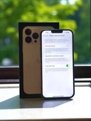 iPhone 13 Pro Max 256GB 