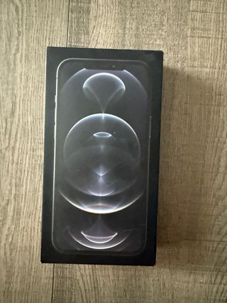 iPhone 12 Pro Max 256 GB