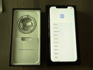 iPhone 12 Pro Max 256 GB