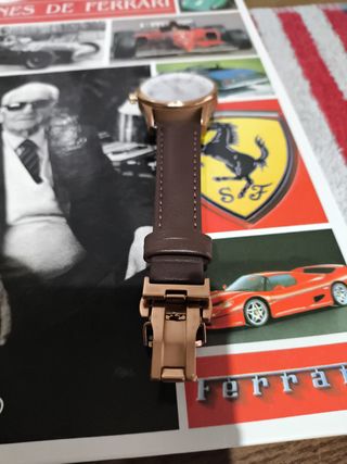 Reloj Swiss Military Hanowa Hombre Marrón/Dorado