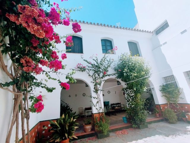 Palacio impecable 770m2 - Ánibal González 1929