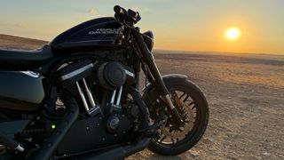 Harley Davidson Sportster XL 1200 2020