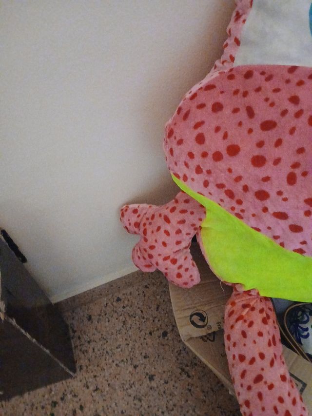 Rana gigante di peluche