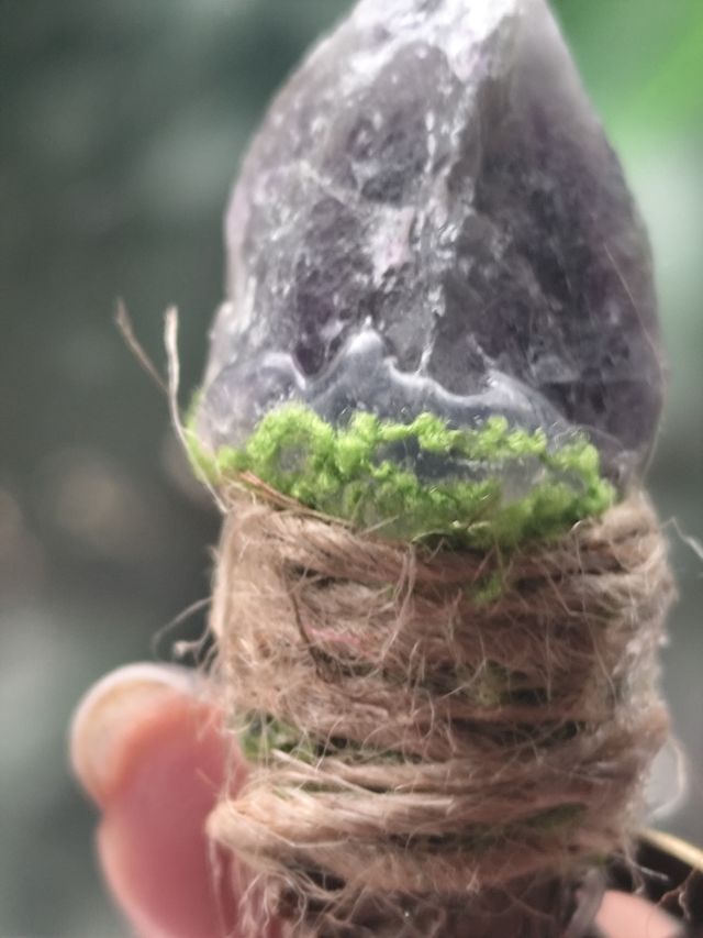 Varita de amatista con musgo