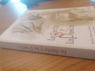 Libro ilustrado La saeta y la pasión.