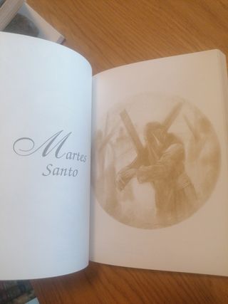 Libro ilustrado La saeta y la pasión.