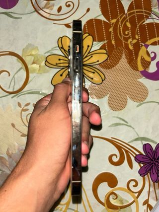 iPhone 14 Pro Max Dorado/Plateado