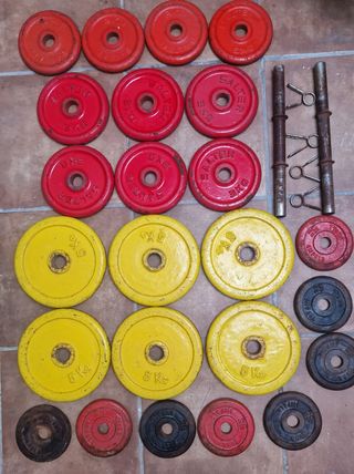 Discos Pesas Salter con Caballete