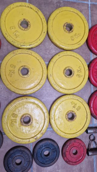 Discos Pesas Salter con Caballete