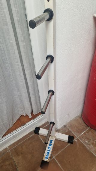 Discos Pesas Salter con Caballete