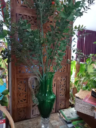 Rami di pungitopo verdi decorativi