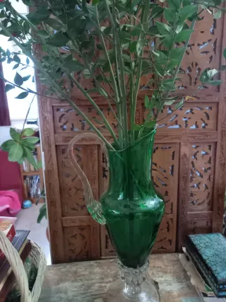 Rami di pungitopo verdi decorativi