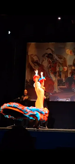 Bata de cola roja flamenca
Profesiona