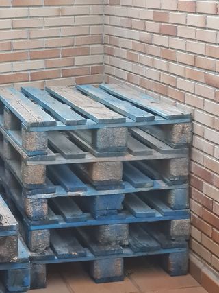 Pallets grandes de madera azul