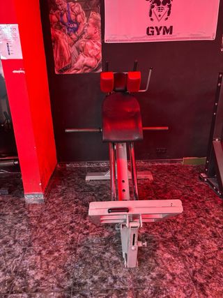 Máquina Hack Squat Gym
Marca David