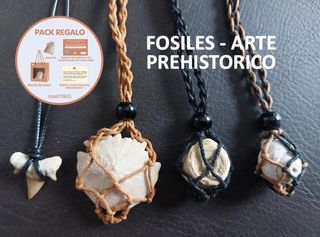 Collar Fósil Coral Auténtico Prehistórico