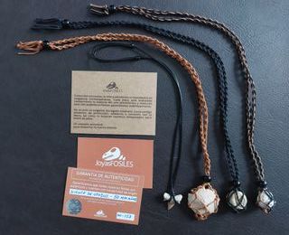 Collar Fósil Coral Auténtico Prehistórico