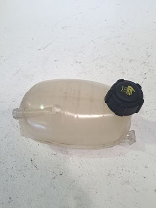 DEPOSITO EXPANSION RENAULT CAPTUR II (2)
