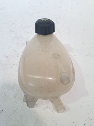 DEPOSITO EXPANSION RENAULT CAPTUR II (2)