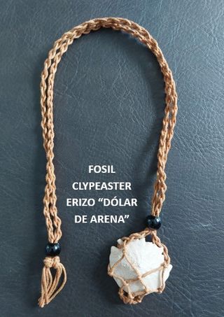 Collar Fósil Clypeaster Auténtico. Arte prehistori