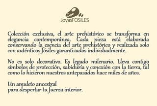 Collar Fósil Clypeaster Auténtico. Arte prehistori