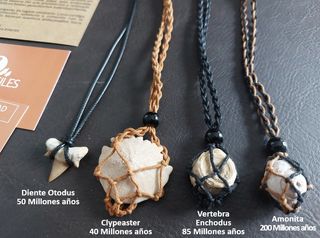 Collar Fósil Clypeaster Auténtico. Arte prehistori