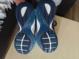 Zapatillas Fila y Náuticos Callaghan