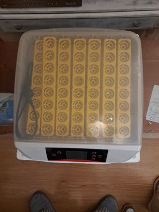 Incubadora Automática Huevos 56 Huevos
