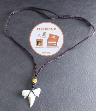 Collar MarrónAzulado Fósil Otodus Auténtico