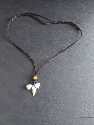 Collar MarrónAzulado Fósil Otodus Auténtico