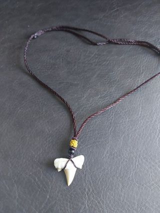 Collar MarrónAzulado Fósil Otodus Auténtico