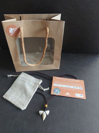 Collar MarrónAzulado Fósil Otodus Auténtico